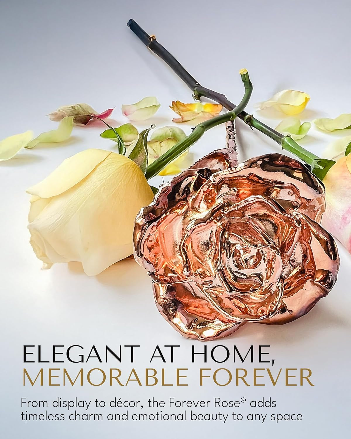 Real Rose Dipped in Rose Gold, Handcrafted Preserved Rose in Luxury Gold Gift Box, Romantic Gift for Her, Elegant Keepsake for Anniversary, Birthday, or Any Special Occasion