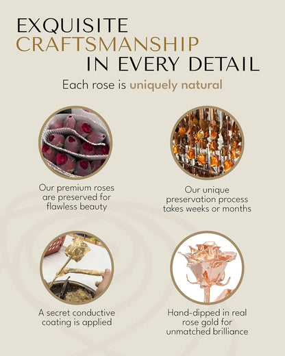 Real Rose Dipped in Rose Gold, Handcrafted Preserved Rose in Luxury Gold Gift Box, Romantic Gift for Her, Elegant Keepsake for Anniversary, Birthday, or Any Special Occasion